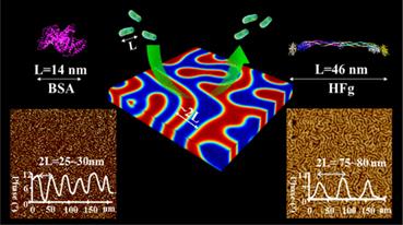 http://www.chem.zstu.edu.cn/__local/8/7B/70/B1FD2D36C77D7F7000F1D0F7694_B8609656_11F6F.gif?e=.gif